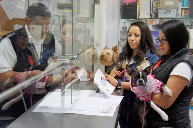 Establece México requisito de inspección sanitaria para GBG en perros y aves provenientes de EUA
