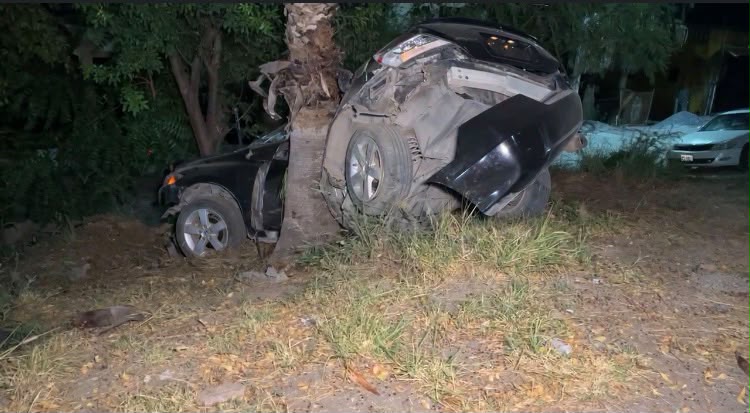 Muere conductor de auto civic al estrellarse contra palmera en zona aledaña a Tránsito de Cd. Victoria