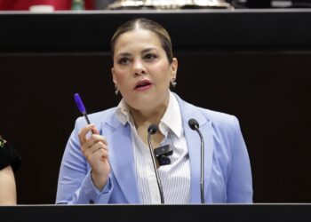 Propone Diputada del PT anular elecciones cuando intervenga la delincuencia organizada