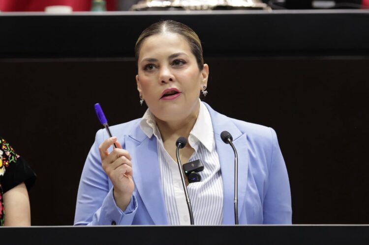 Propone Diputada del PT anular elecciones cuando intervenga la delincuencia organizada