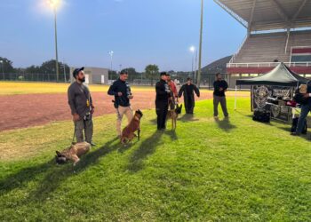 Destacan binomios K-9 de la Guardia Estatal de su especialidad en certificación canina