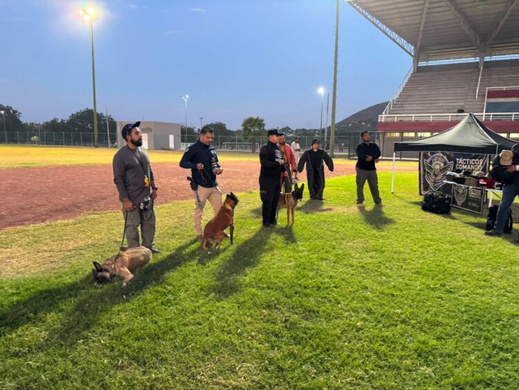 Destacan binomios K-9 de la Guardia Estatal de su especialidad en certificación canina