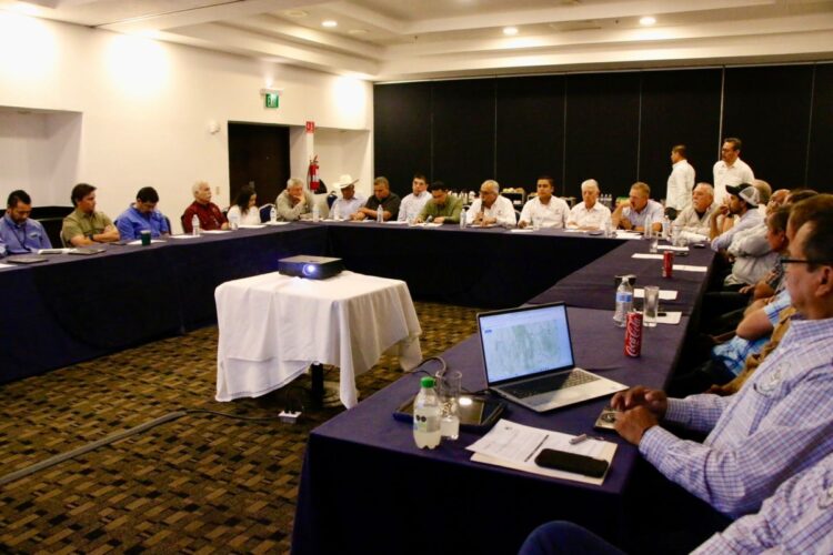 Suman esfuerzos México y EU para erradicar el picudo del algodonero en Tamaulipas