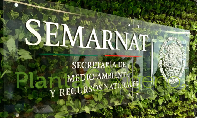 Presentan ante SEMARNAT documento de aprovechamiento maderable del predio “Palmillitas”, Llera