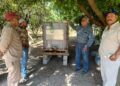 Bioinsumos abren camino a la recuperación de huertas citrícolas en Güémez