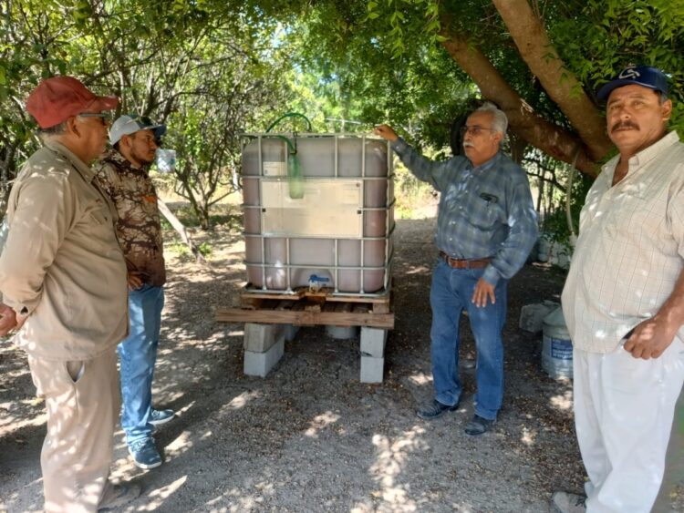 Bioinsumos abren camino a la recuperación de huertas citrícolas en Güémez