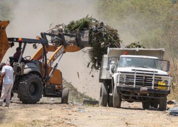 Combaten basureros irregulares en Ciudad Victoria