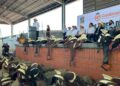 Celebran el Día del Ganadero en la Unión Ganadera Regional de Nuevo León
