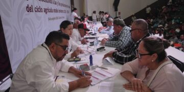 Gobiernos de México y Sinaloa inician entrega de incentivos a productores de maíz blanco