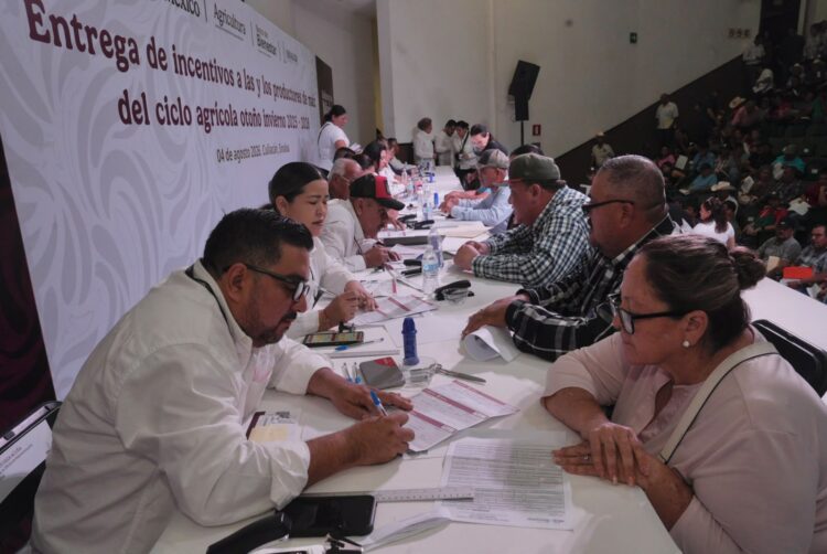 Gobiernos de México y Sinaloa inician entrega de incentivos a productores de maíz blanco