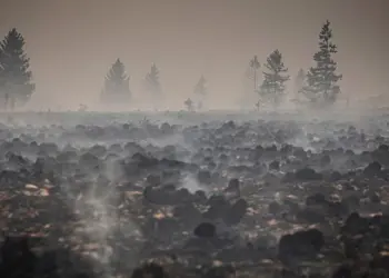 Incendio en Bélgica se convierte en el mayor de su historia