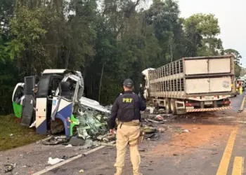 Choque entre autobús y camión deja 23 muertos en Brasil