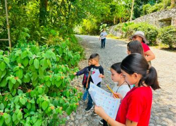 Fortalece Tamaulipas conservación de la Mariposa Monarca con participación en el Blitz Monarca 2026