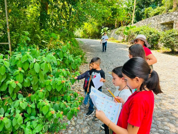Fortalece Tamaulipas conservación de la Mariposa Monarca con participación en el Blitz Monarca 2026