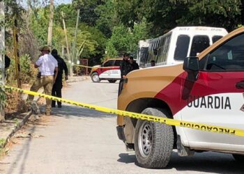 Hallan restos humanos en un predio baldío de la Col. Loma Alta en Cd. Victoria