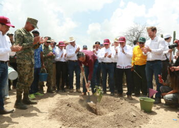 Tamaulipecos en Jornada Nacional de Reforestación; inicia en Jaumave plantación de 15 mil árboles para el estado