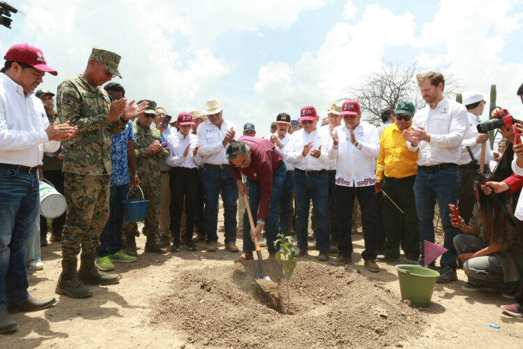 Tamaulipecos en Jornada Nacional de Reforestación; inicia en Jaumave plantación de 15 mil árboles para el estado