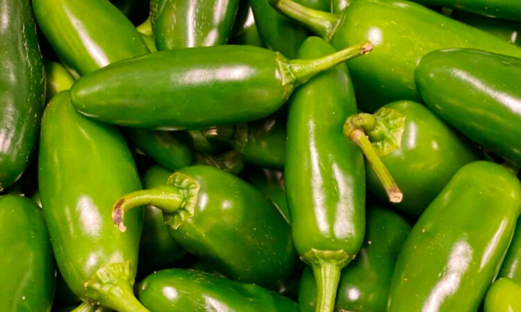 Estados Unidos investiga brote de salmonela asociado a chiles mexicanos