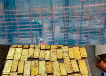 Trabajadores encuentran monedas y lingotes de oro en edificio antiguo