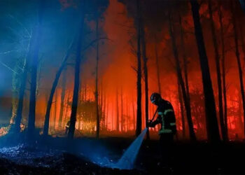 Francia combate incendio en Las Landas con 550 bomberos