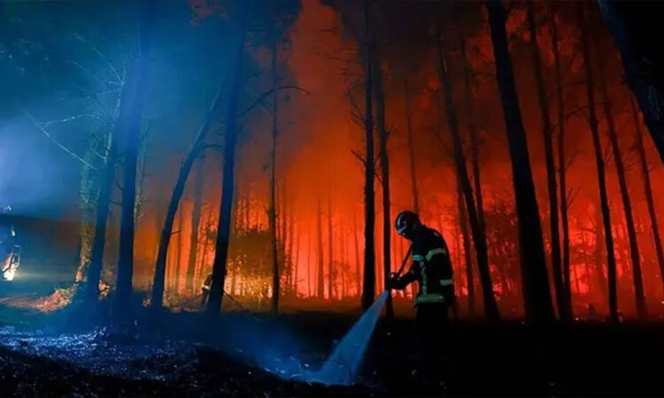 Francia combate incendio en Las Landas con 550 bomberos