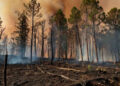 Estados Unidos combate 94 grandes incendios forestales activos