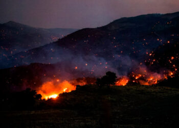 Emergencia en Grecia por incendios forestales en varias regiones