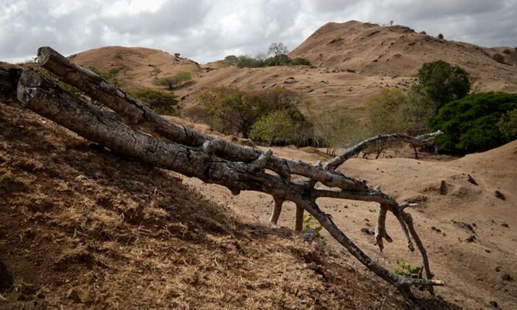 El Niño tiene 69% de probabilidad de ser histórico y superar récords desde 1950