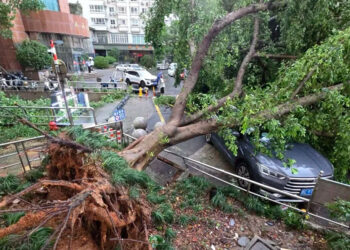 Tifón Dolphin golpea el este de China con lluvias récord e inundaciones