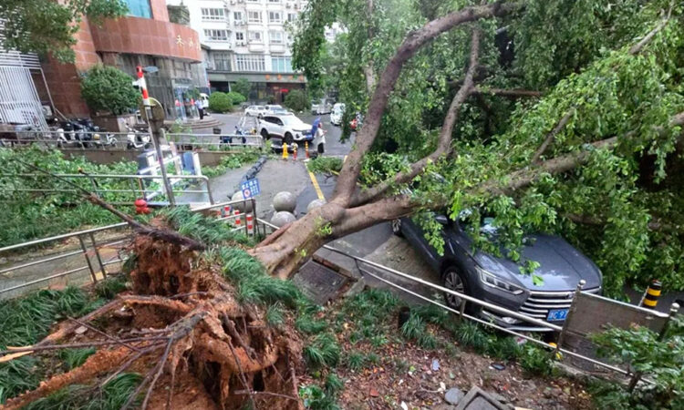 Tifón Dolphin golpea el este de China con lluvias récord e inundaciones