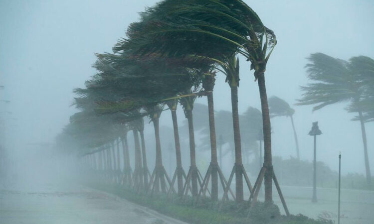 Temporada de tifones 2026 será 60% más activa por El Niño, según estudio