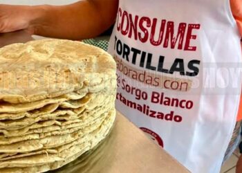 Tortilla de sorgo blanco busca rescatar al campo