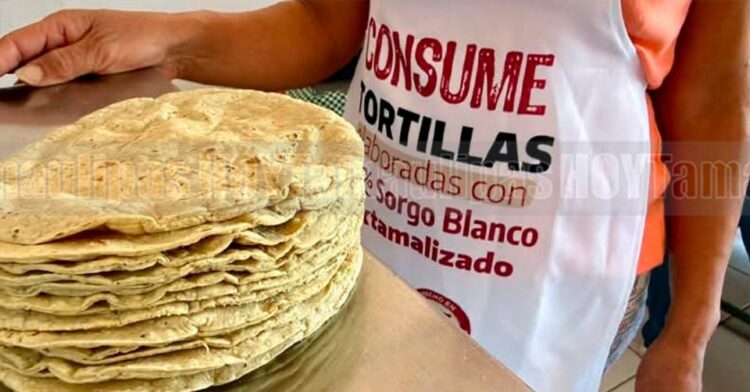 Tortilla de sorgo blanco busca rescatar al campo