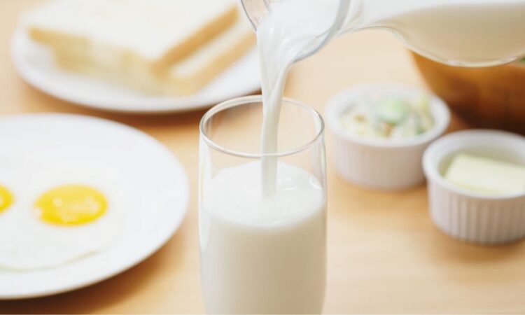 Alimentos ricos en calcio más allá de la leche