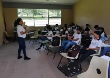 SEP inicia consulta para sustituir Usicamm