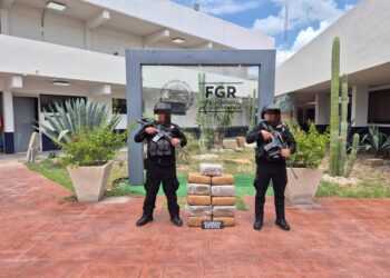 Aseguran droga en vivienda de Díaz Ordaz