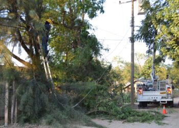 SEDENER atiende 250 reportes por apagones