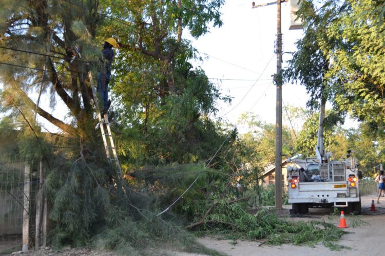 SEDENER atiende 250 reportes por apagones