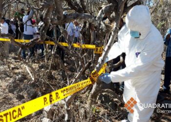 Hallan otra fosa clandestina en Miguel Alemán