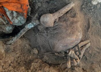 Hallan cuatro fosas en Miguel Alemán