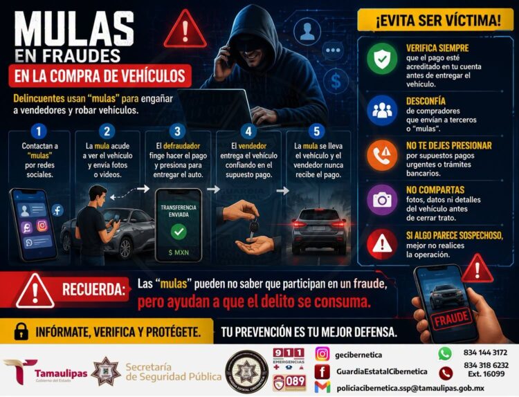 Alertan por fraude en venta de vehículos