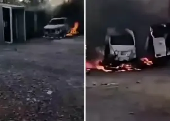 Incendian granja avícola en norte de Veracruz