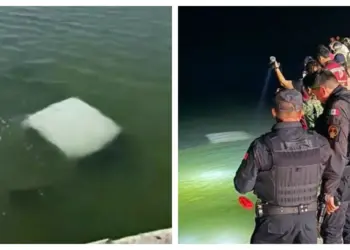 Identifican a cuatro marinos fallecidos en La Pesca