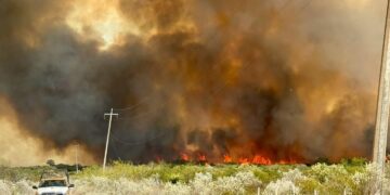 Incendio afecta mil hectáreas en Jiménez