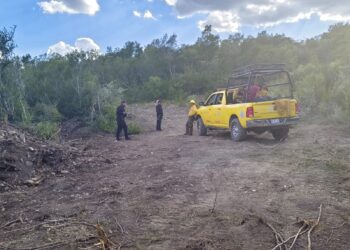 Combaten incendio forestal en San Carlos