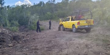 Combaten incendio forestal en San Carlos