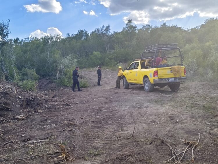 Combaten incendio forestal en San Carlos