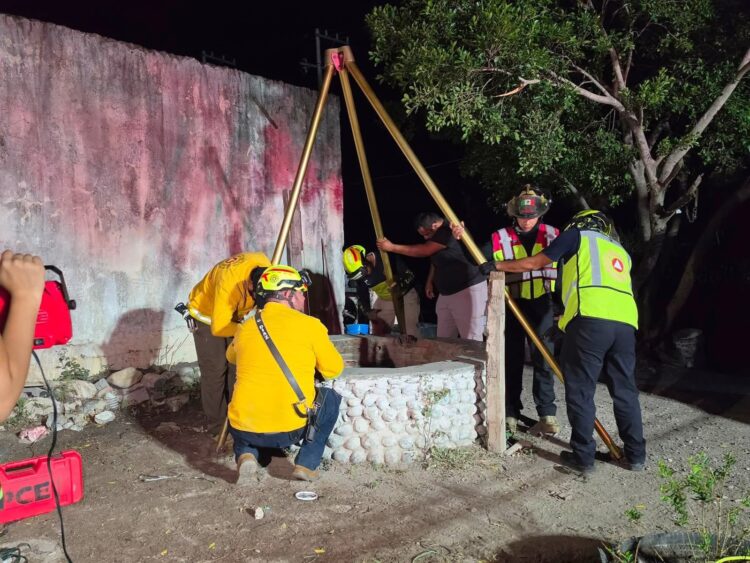 Muere hombre al caer en noria