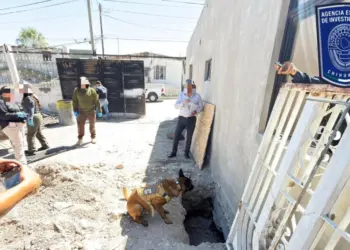 Hallan tres osamentas en fosas de Juárez