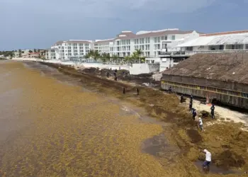 Sargazo cambia el paisaje del Caribe y afecta al turismo